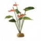 PLANTA" ANTHURIUM BUSH"