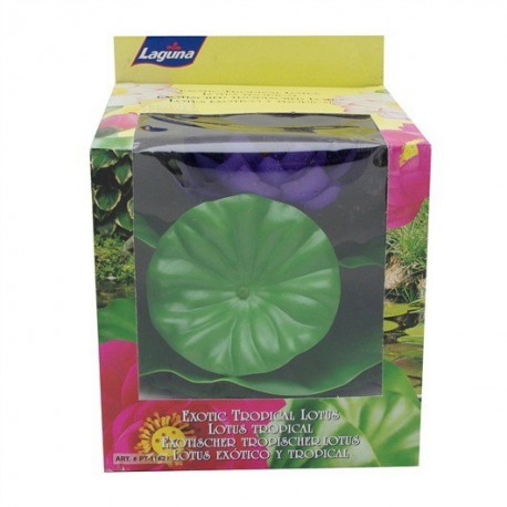 LOTUS TROPICAL PURPURA EXTRA