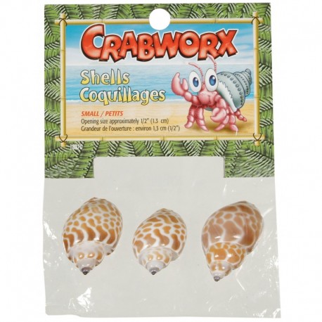 DECORACIÓN CRABWORX | CONCHAS DE CANGREJO - PEQUEÑAS / 3 UNIDADES