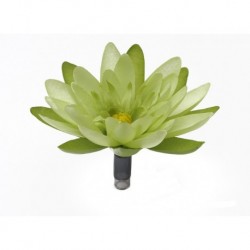 PLANTA FLOR DE LILY | DECORACIÓN FLUVAL CHI
