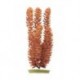PLANTA  20 CM FOXTAIL  - BLISTER