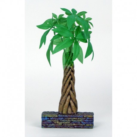 ACCESORIOS MARINA BETTA | ORNAMENTO ÁRBOL DEL DINERO TRENZADO PARA BETTA KIT