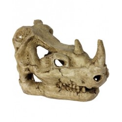 DECOR. CRÃNIO RINOCERONTE 16X10X12CM