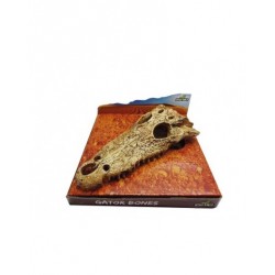 DECOR. CRÃNIO DE CROCODILO