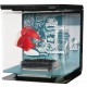 Acuario Marina Betta Kit 2 Lt. "Wild Thing"