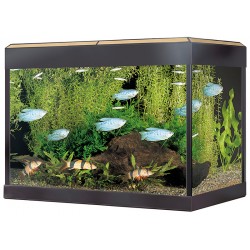 ACUARIO FLUVAL ROMA 90, 60X35CM 90L