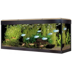 ACUARIO FLUVAL ROMA 240 | 240 LITROS - 120 x 40CM