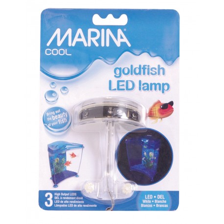 LUZ DE LED | ILUMINACIÓN MARINA COOL