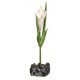 ACCESORIOS MARINA BETTA | ORNAMENTO CALA PARA BETTA KIT - 23.5CM