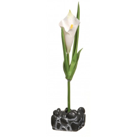 ACCESORIOS MARINA BETTA | ORNAMENTO CALA PARA BETTA KIT - 23.5CM
