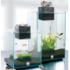 ACUARIO FLUVAL CHI NANO | 19 LITROS - 31.25 x 25.4 x 25.4CM