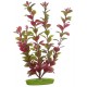 PLANTA 20 CM  RED LUDWIGIA  - BLISTER