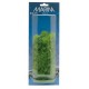 PLANTA 12,5 CM HORN WORT - BLISTER