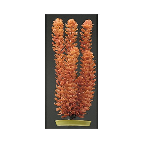 PLANTA 30 CM FOXTAIL-BLISTER