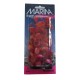PLANTA 30CM RED LUDWIGA- BLISTER