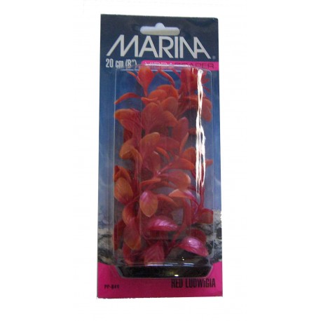 PLANTA 30CM RED LUDWIGA- BLISTER