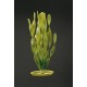 PLANTA  20 CM VALLISNERIA  - BLISTER