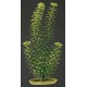 PLANTA 12,5 CM ANACHARIS - BLISTER