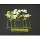 PLANTA 7 CM FOUR LEAF CLOVER