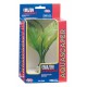PLANTA MARINA AMAZON SWORD MD. -CAJA