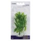 Planta 10cm Marina Hygrophilia blister