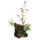 DECORACION ACUARIO/TERRARIO XL.