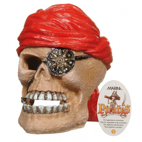DECORACION  CRANEO PIRATA 7X9X8CM