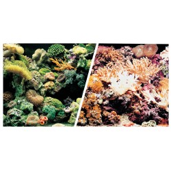 POSTER DOBLE CARA A. SALGADA 15MTX30CM