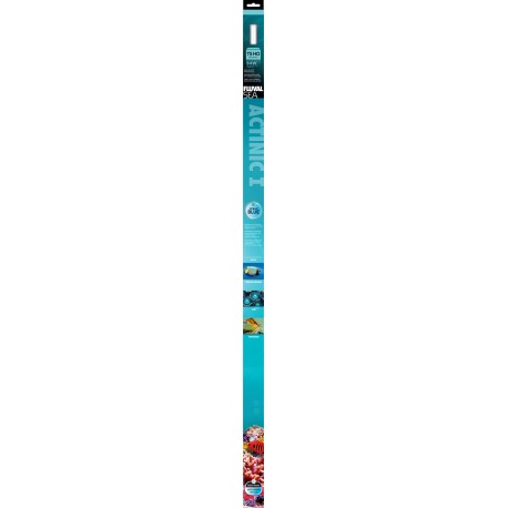 Lampara Marine Actinic I T5 HO 54W 115 cm