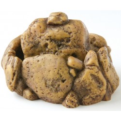 Bebedero Fonte para Réptiles