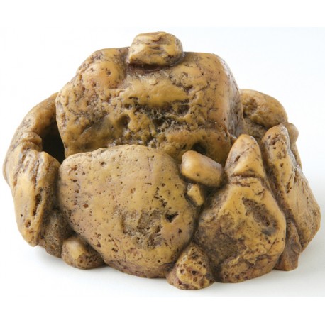 Bebedero Fonte para Réptiles