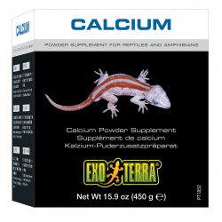 CALCIO SUPLEMENTO EM PO 450GR