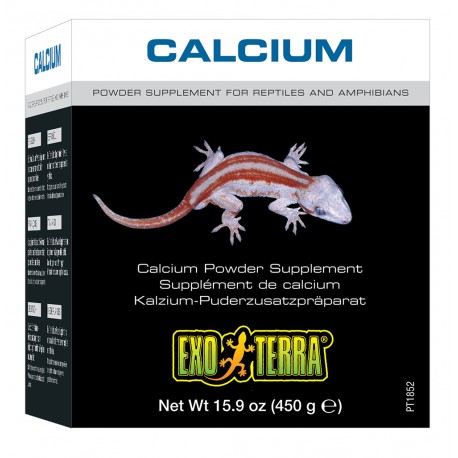 CALCIO SUPLEMENTO EM PO 450GR