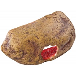 Escondrijo "Crystal Cave" MD