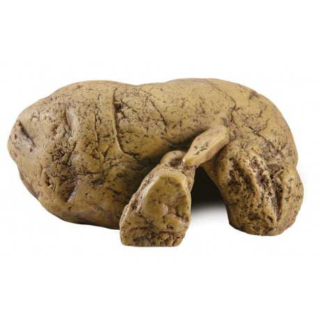 Refugio para Réptiles PQ.