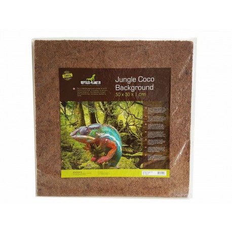 FONDO P/TERRARIO JUNGLE COCO 50X50X1CM