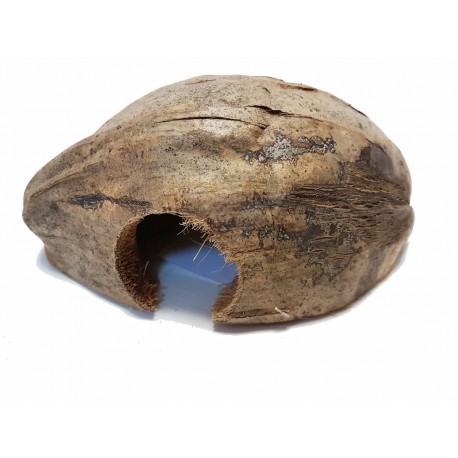 ESCONDRIJO CUEVA DE COCO