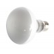 LÁMPARA REPTI UVA NEODYMINIUM DIA 75W
