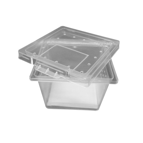 CAJA DE REPRODUCCIÓN XS 6,8X6,8X4,5CM