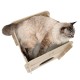 NIDO GATO V-COTTAGE ROBLE | 50x50x49CM