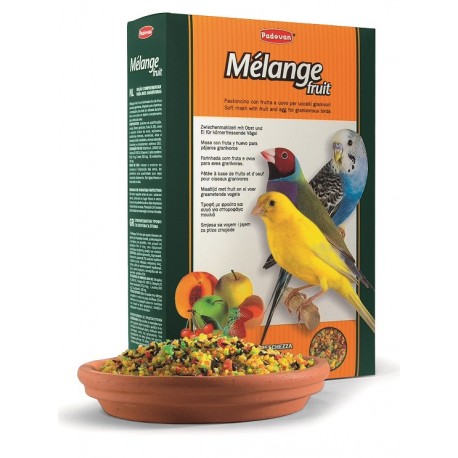MÉLANGE FRUIT | PIENSO COMPLEMENTARIO P/PÁJAROS GRANÍVOROS - 300G