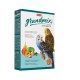 GRANDMIX COCORITE | PIENSO COMPLETO P/PERIQUITOS - 400GR