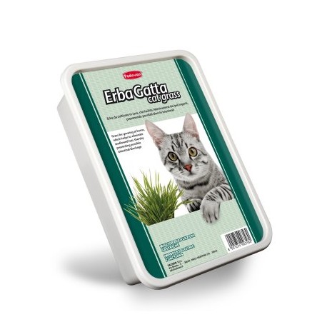 ERBAGATTA CAT GRASS | HIERBA QUE SE CULTIVA EN CASA P/GATOS