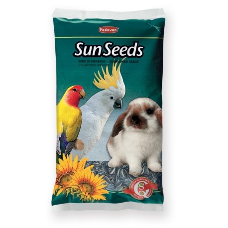 SUNSEEDS | SEMILLA DE GIRASOL - 500GR
