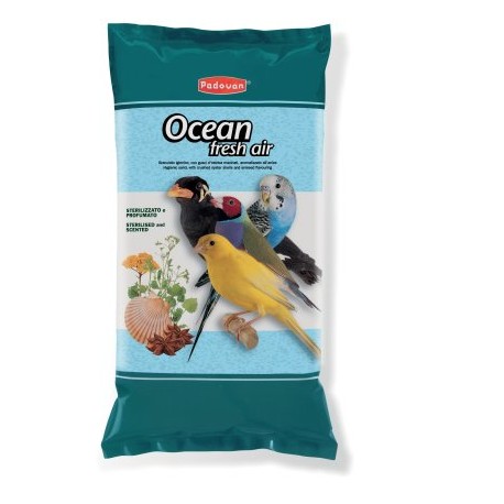 OCEAN FRESH AIR | GRANULADO HIGIÉNICO C/CONCHAS Y AROMA ANÍS - 5KG