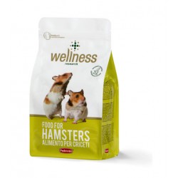 WELLNESS FOOD FOR HAMSTERS | PIENSO COMPLETO P/HÁMSTERS - 1KG