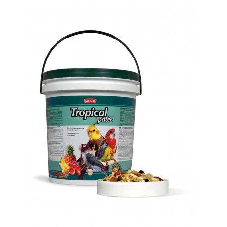 TROPICAL PÂTÉE PADOVAN | PIENSO COMPLEMENTARIO P/PAPAGAYOS DE TAMAÑO MEDIANO - 5KG