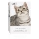 KIT DE BELLEZA PARA GATOS DE PELO CORTO | CATIT