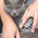 KIT DE BELLEZA PARA GATOS DE PELO CORTO | CATIT