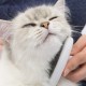 KIT DE BELLEZA PARA GATOS DE PELO LARGO | CATIT